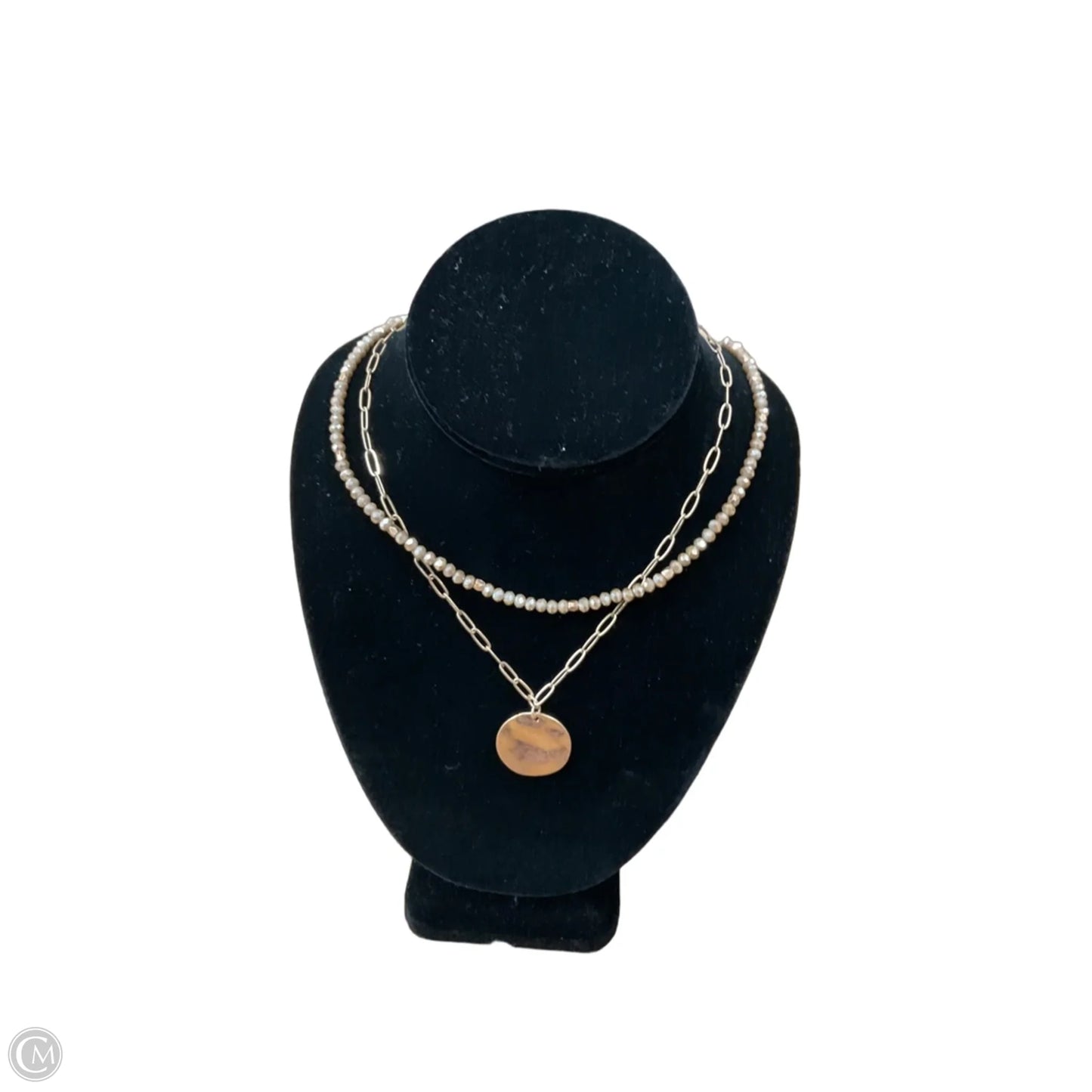 Necklace Layered By Clothes Mentor