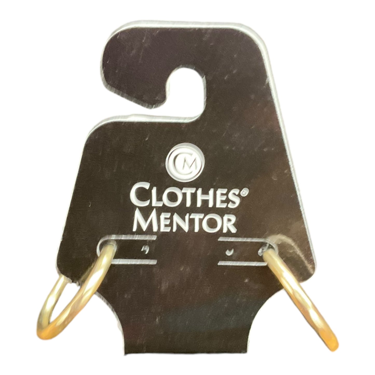 Earrings Dangle/drop By Clothes Mentor