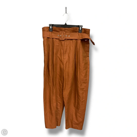 Pants Other By Zara In Brown, Size: 16