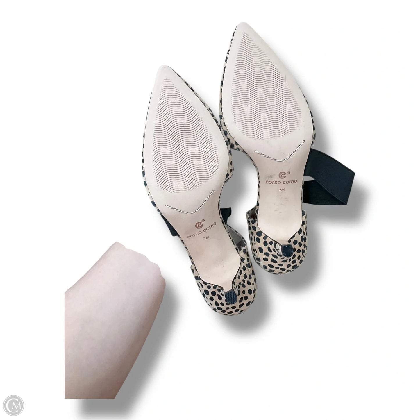 Shoes Heels Kitten By Corso Como In Animal Print, Size: 7