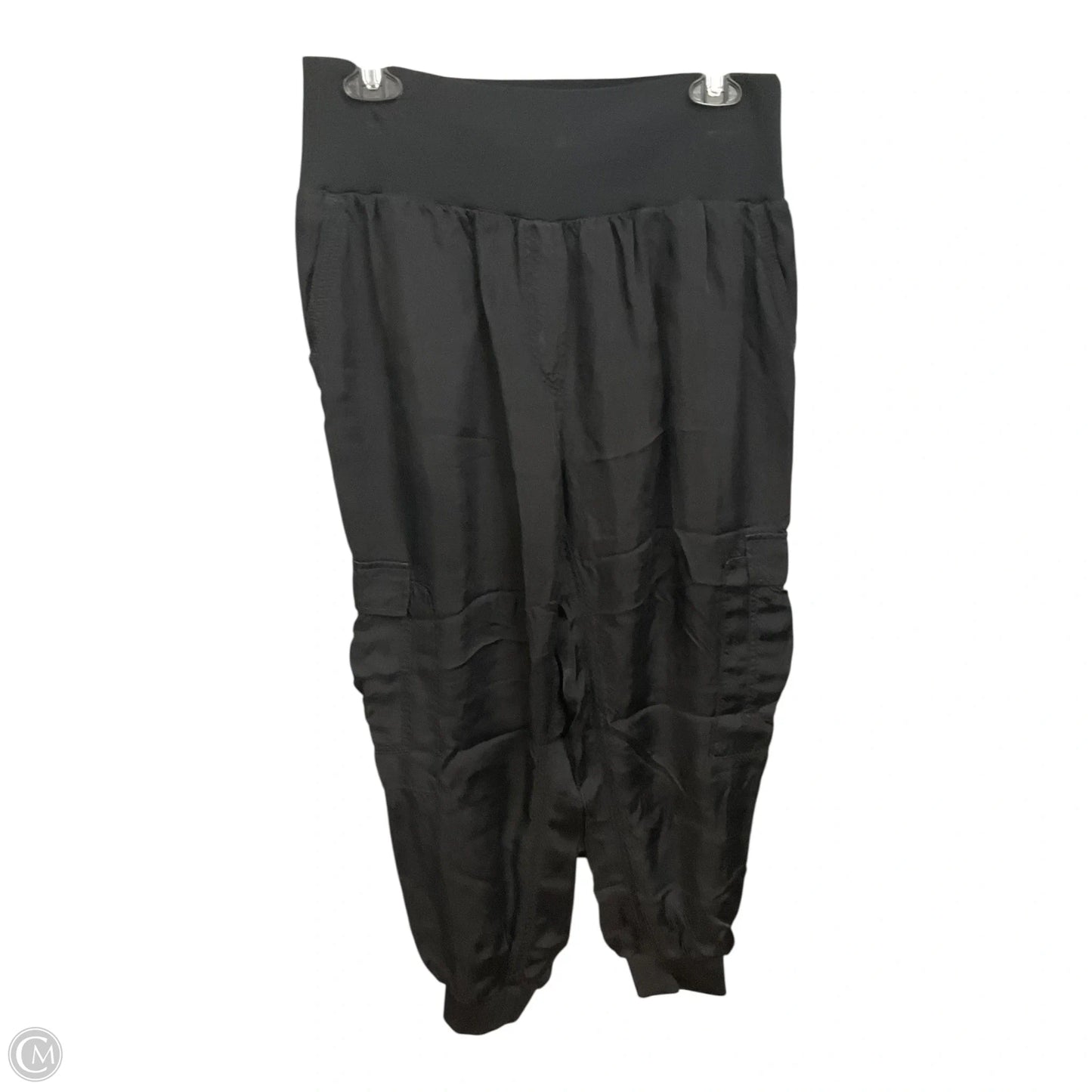 Pants Cargo & Utility By Clothes Mentor In Black, Size: L