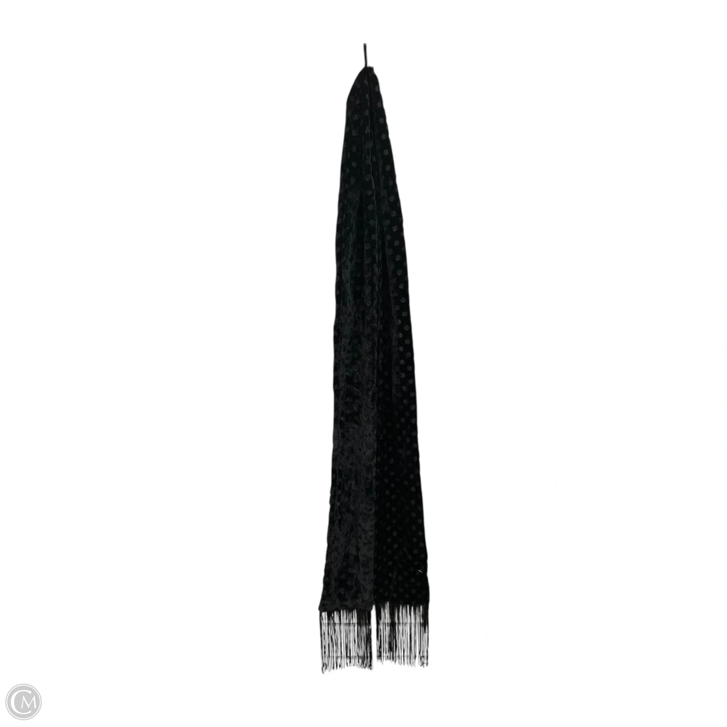Scarf Long By Vince Camuto