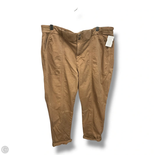 Pants Other By White House Black Market In Tan, Size: 14