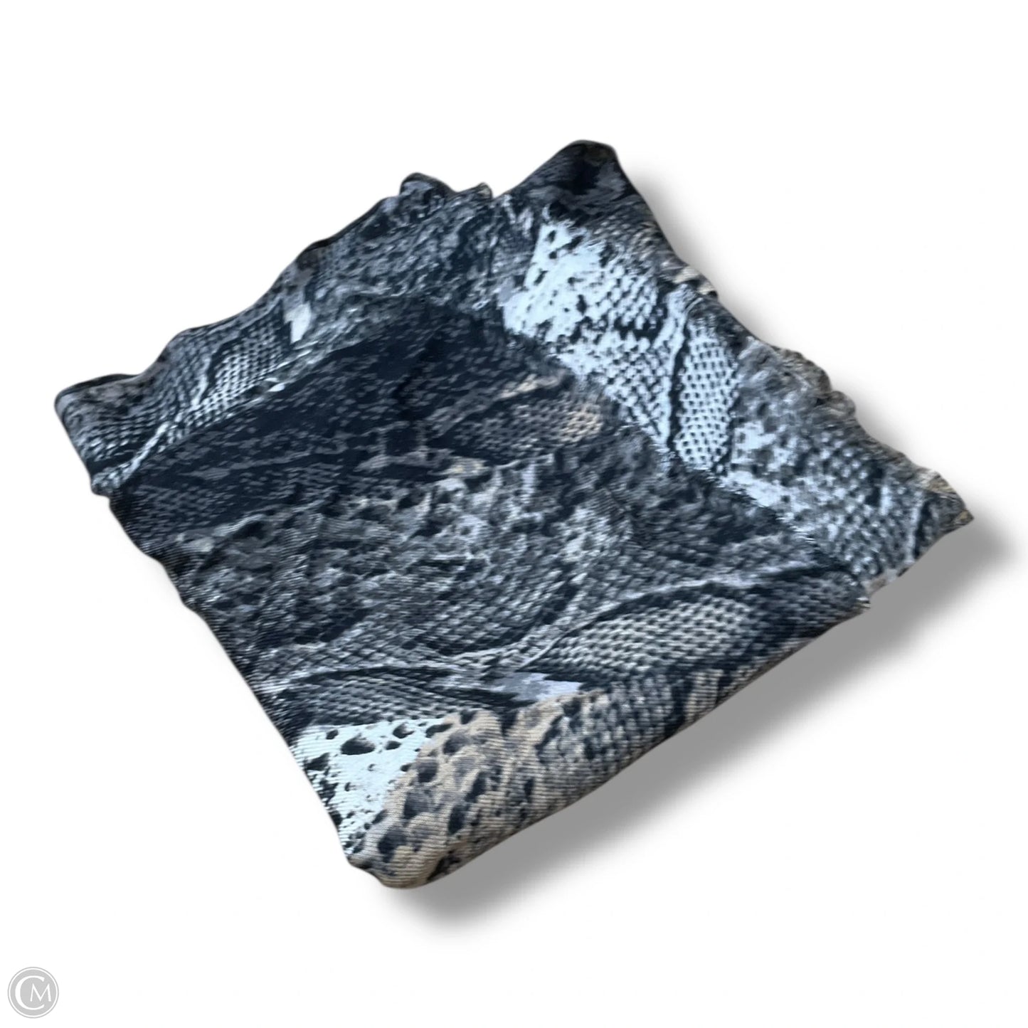 Scarf Long By Clothes Mentor