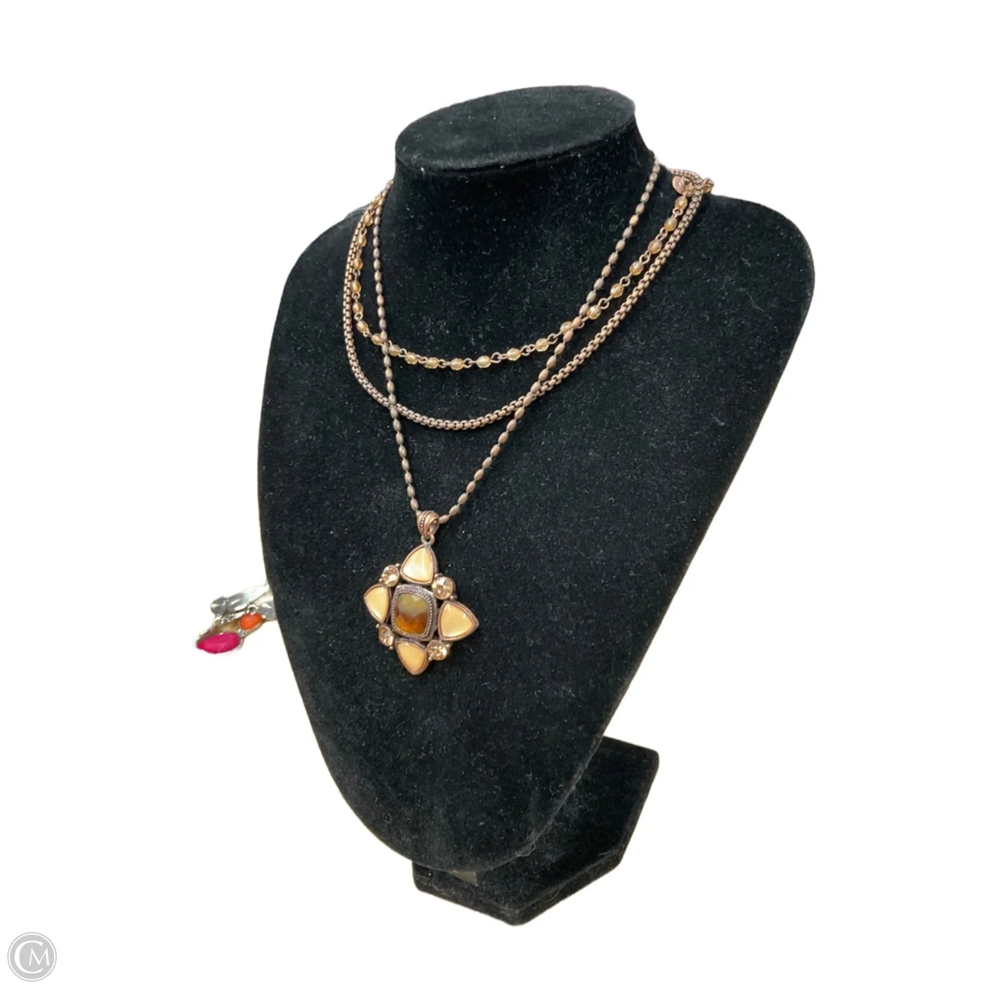 Necklace Layered By Clothes Mentor