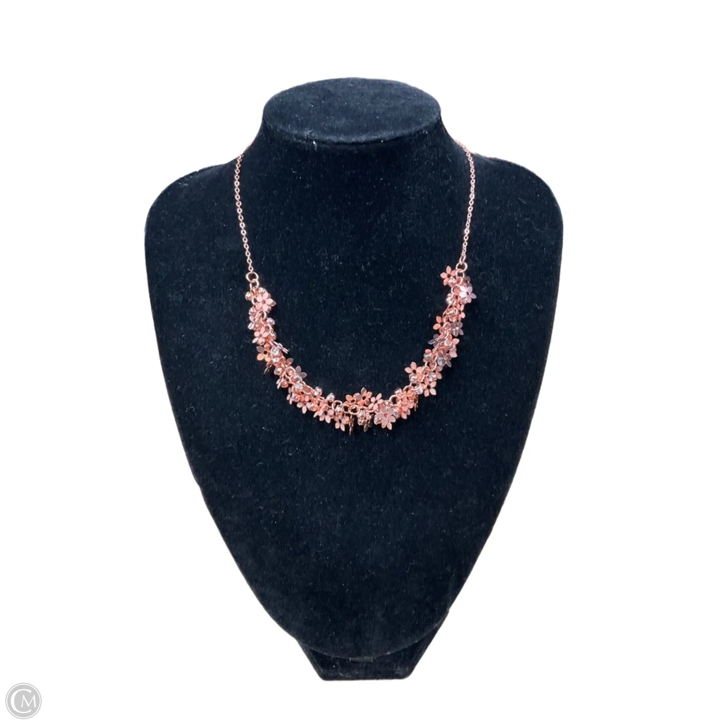 Necklace Chain By Clothes Mentor