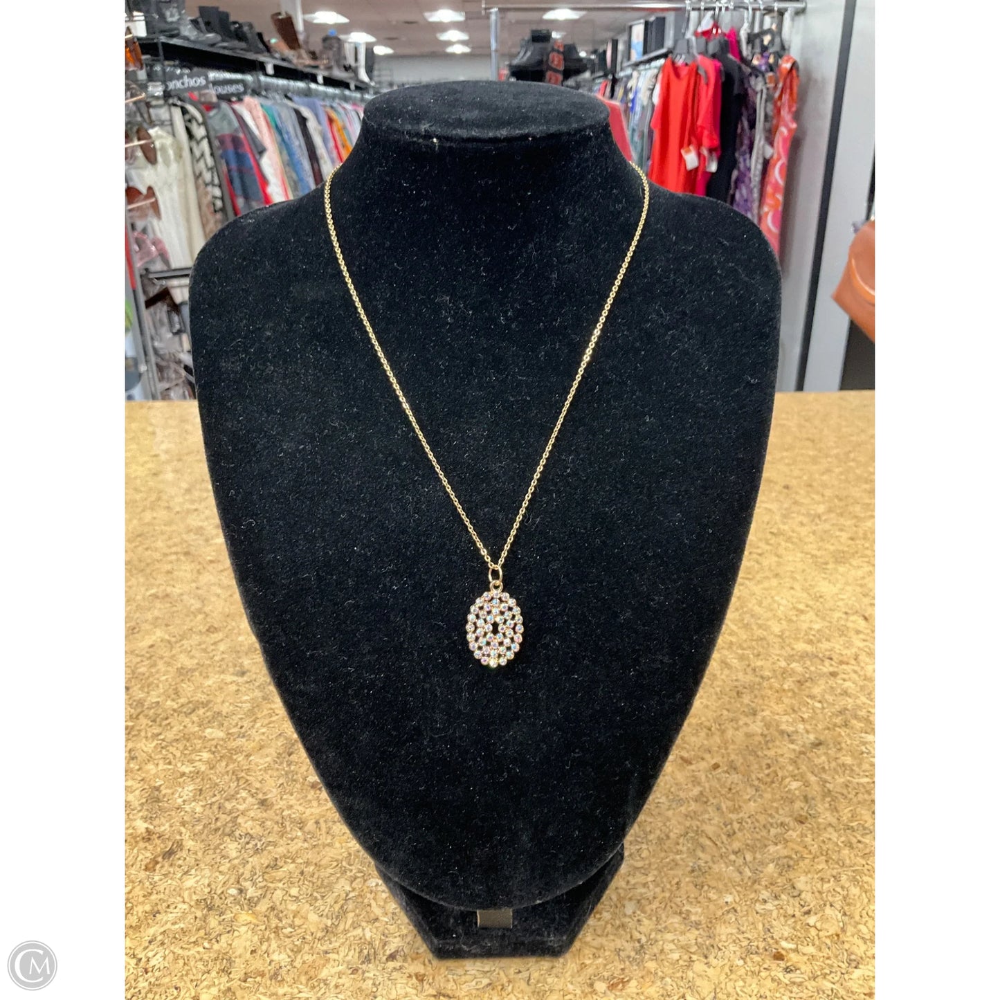 Necklace Charm By Clothes Mentor, Size: 02 Piece Set