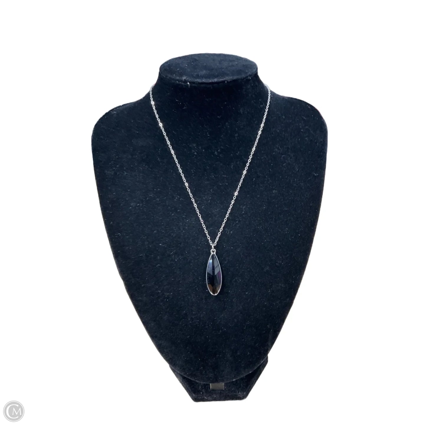 Necklace Charm By Clothes Mentor, Size: 02 Piece Set