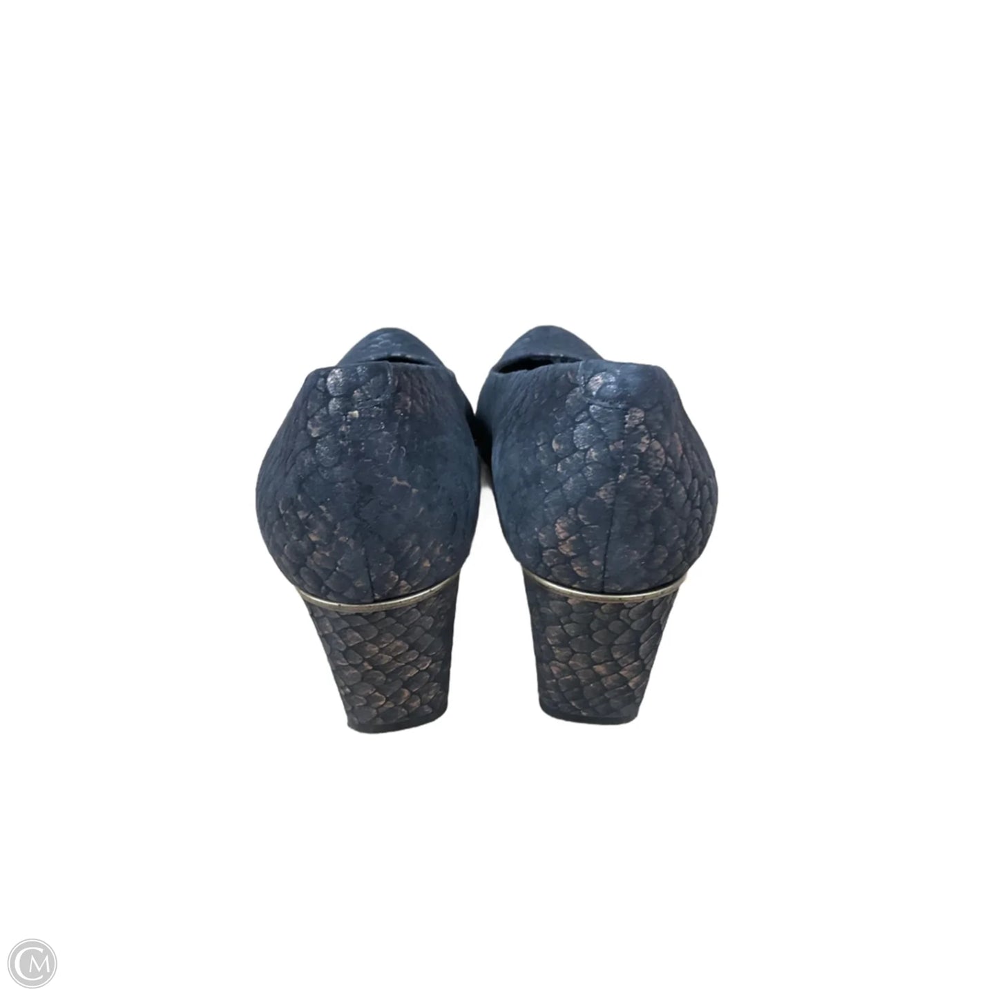 Shoes Heels Kitten By Vaneli In Snakeskin Print, Size: 11