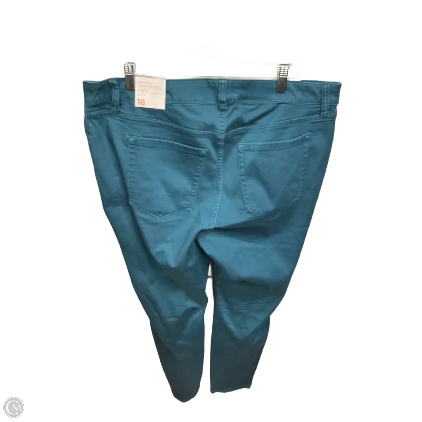Jeans Skinny By Lane Bryant In Teal, Size: 18
