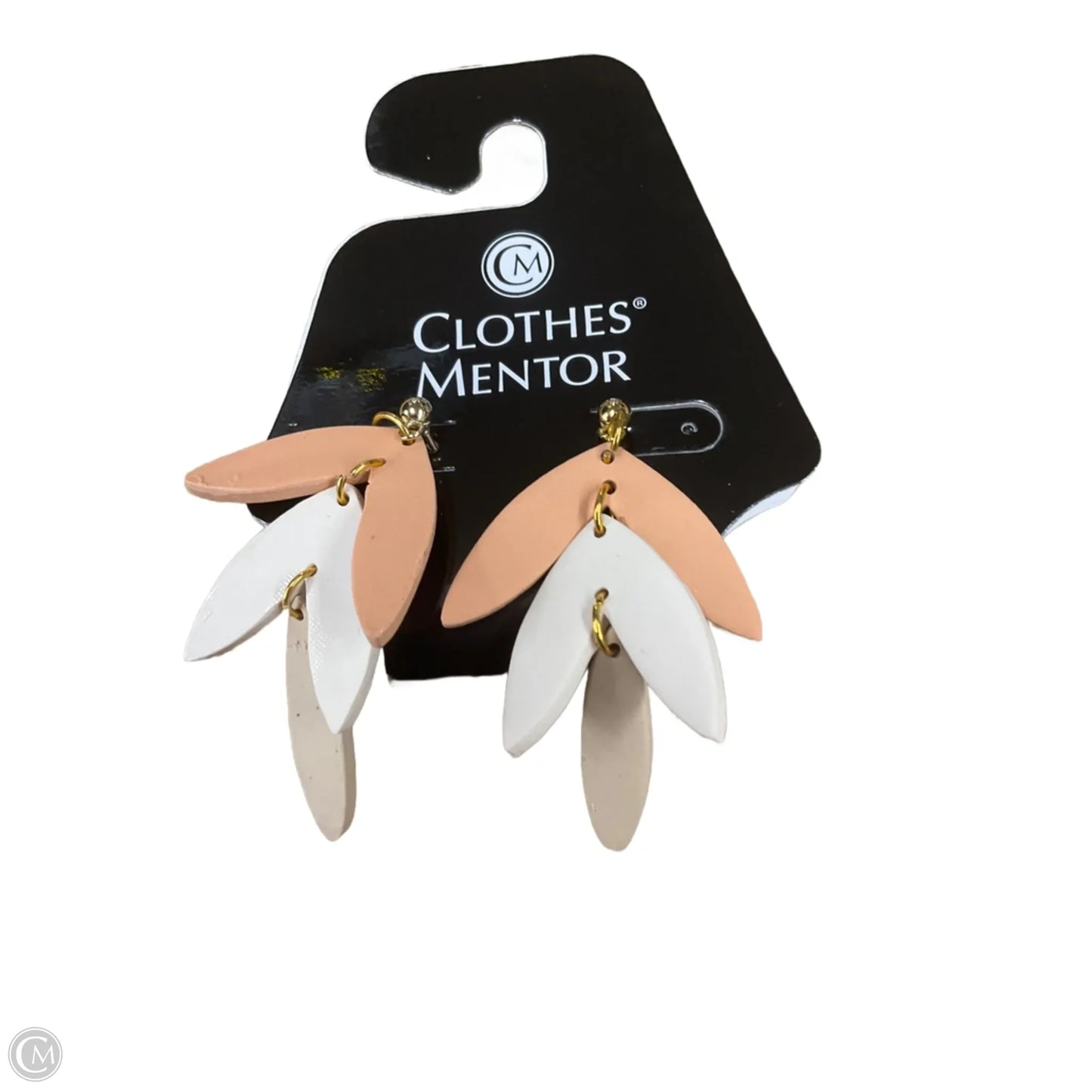 Earrings Dangle/drop By Clothes Mentor