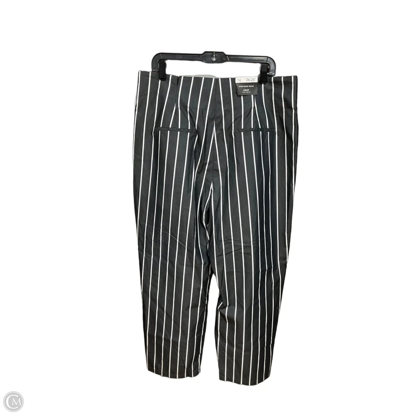 Pants Cropped By Who What Wear In Striped Pattern, Size: 16