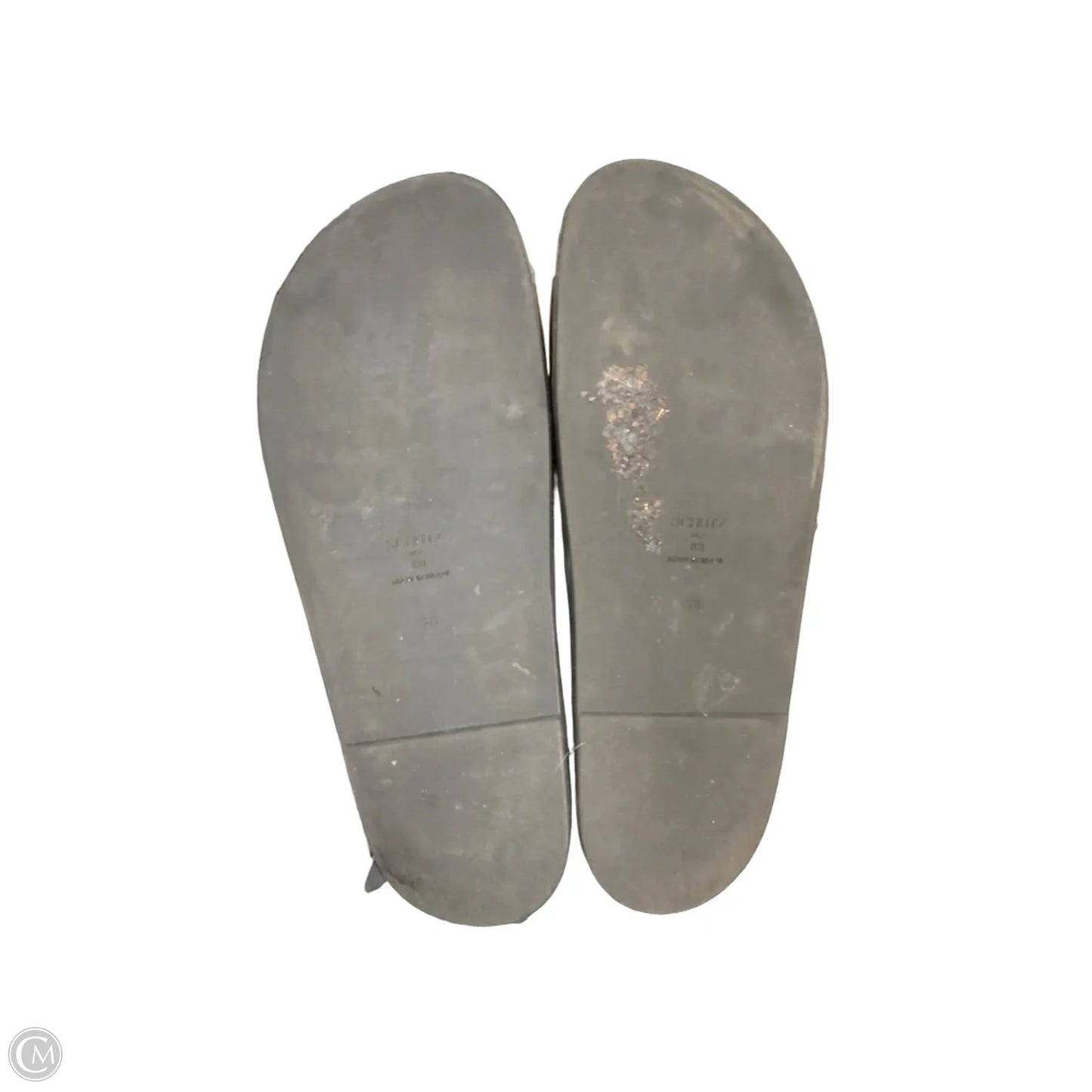Sandals Flats By Aquatalia In Black, Size: 8