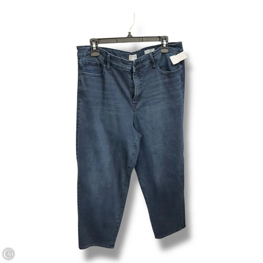 Jeans Straight By Social Standard By Sanctuary In Blue Denim, Size: 16