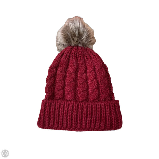 Hat Beanie By Clothes Mentor